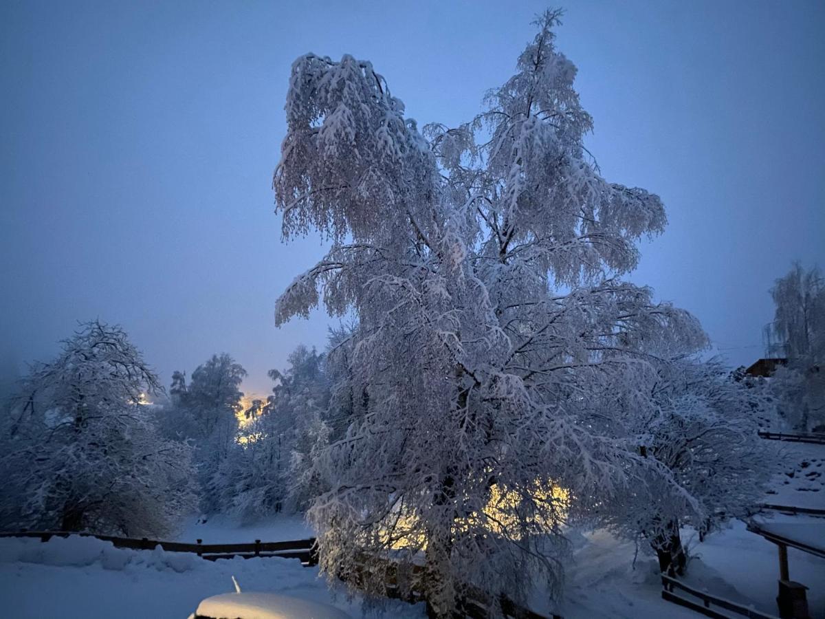 Apartmán Bei Annelie Krakaudorf Exteriér fotografie